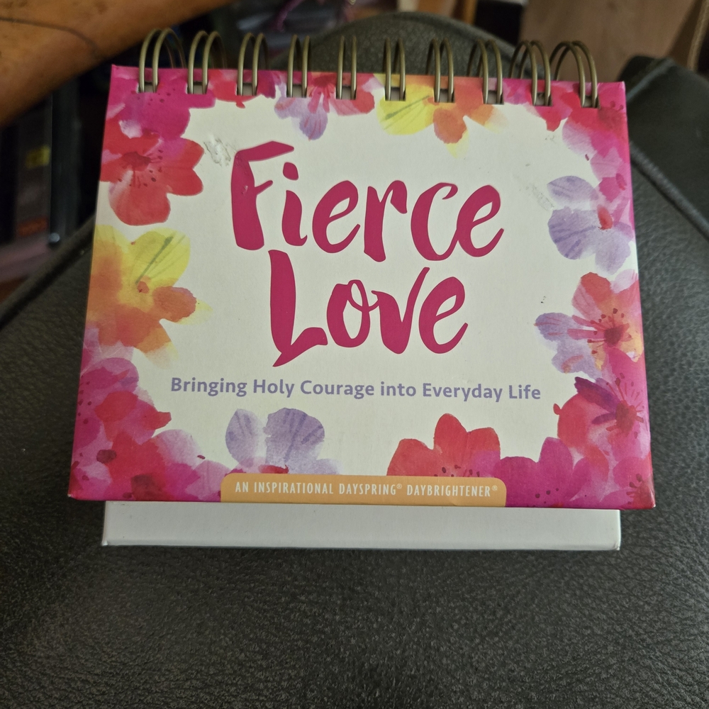Fierce Love Inspirational DaySpring DayBrightener